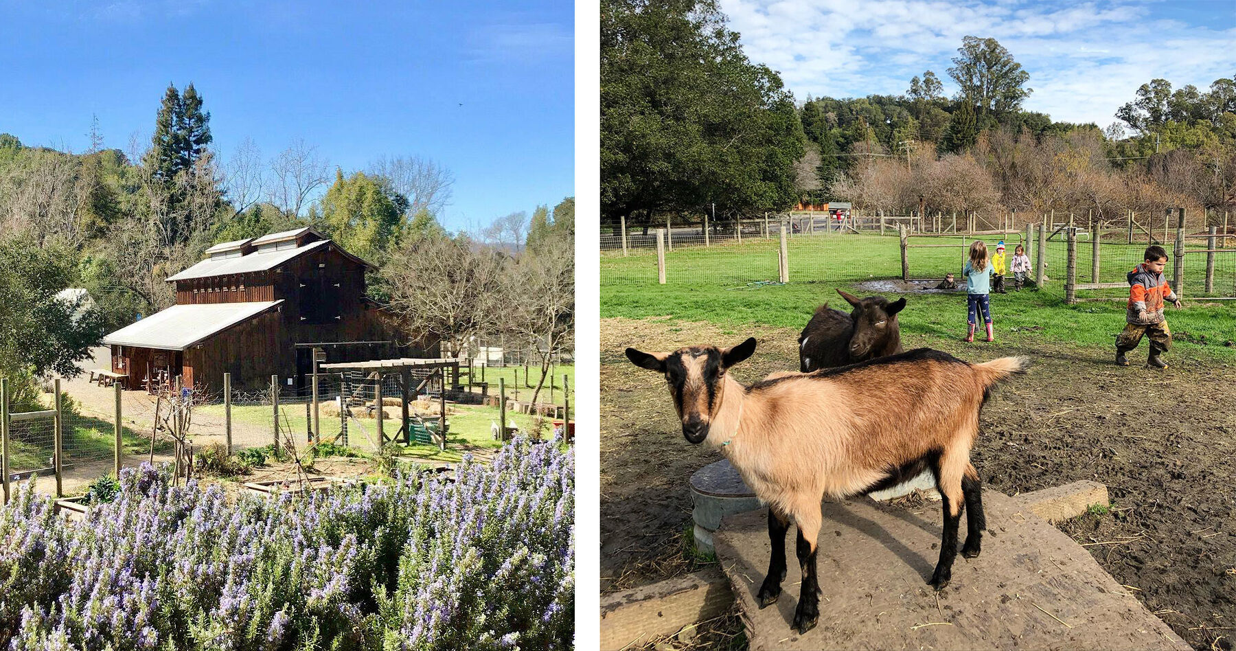 Connolly Ranch